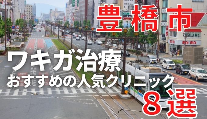 豊橋市でワキガ治療が人気で安いおすすめクリニック8選ランキング 切らない 保険適用 上手い 美容マガジン