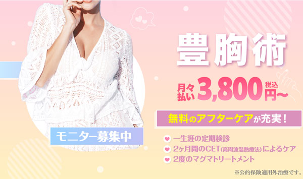 値下げ！Brava 脂肪豊胸　イブレア/Bebra 乳房拡張器 ビブラ BEbra 乳房拡張器 Theclinicの通販 by まむ's shop｜ラクマ