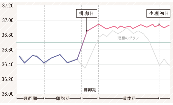 妊活中の基礎体温チェックは必須？わかりやすい測り方や注意点を解説